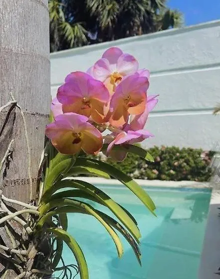 Villa 12 Px Paraiso Familiar Cabrera By Drvacationsrental Nagua Dominican Republic
